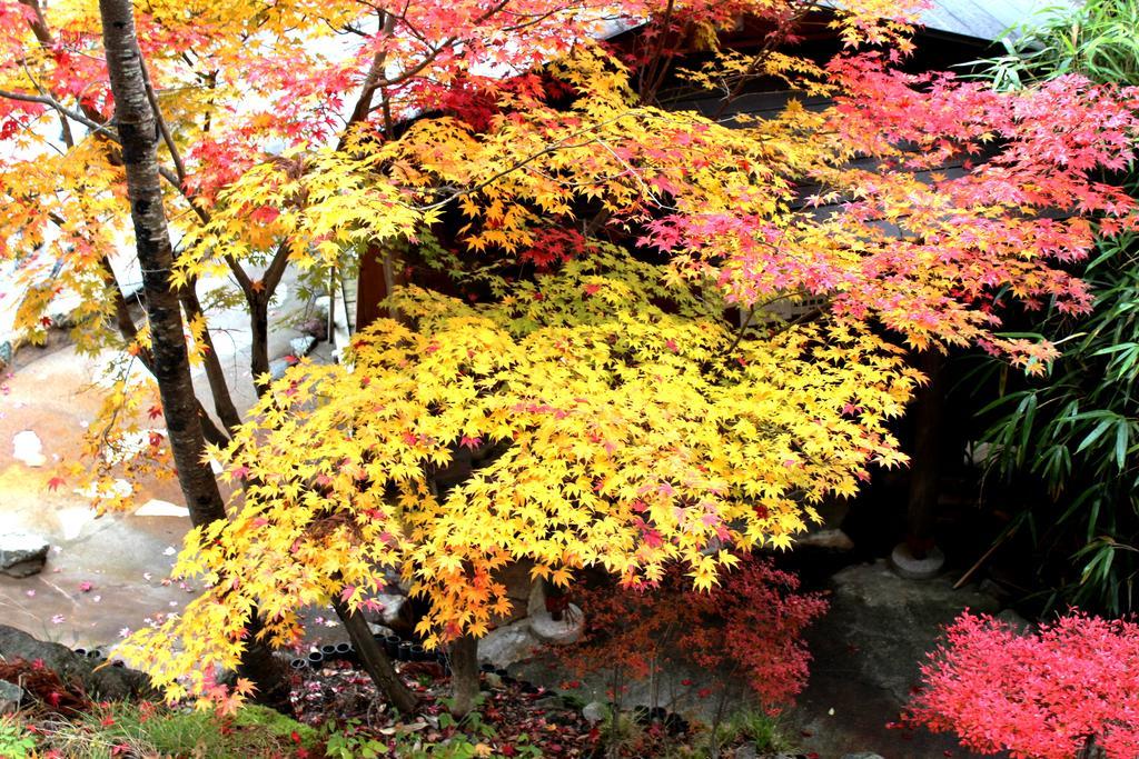 Suimeikan Karukaya Sanso Takayama  Exterior foto